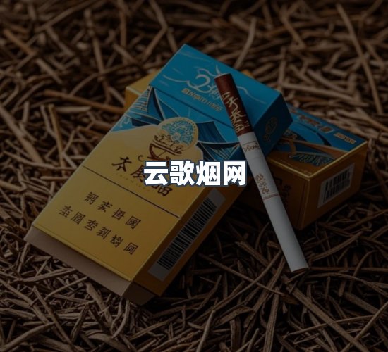 关于云歌烟网